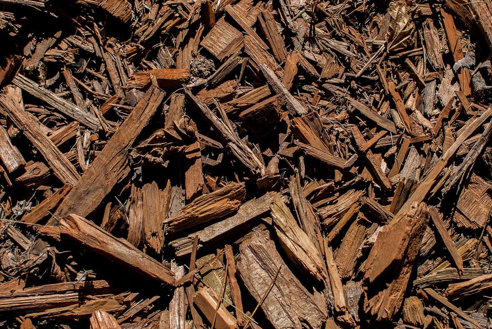 Edge-to-edge close-up of reddish-brown shredded wood mulch pieces of mixed sizes in direct sunlight.